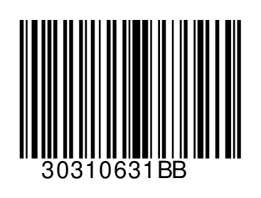 30310631BB
