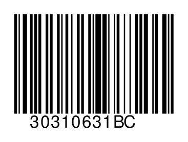 30310631BC