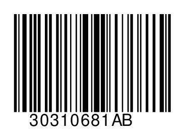 30310681AB