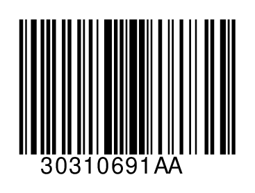 30310691AA