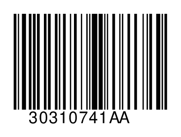 30310741AA