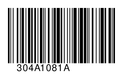 304A1081A