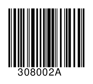 308002A