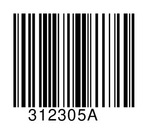 312305A