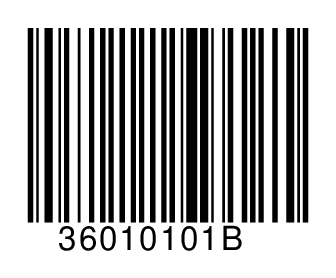 36010101B