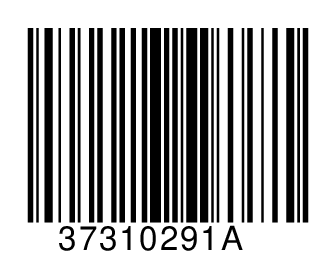 37310291A