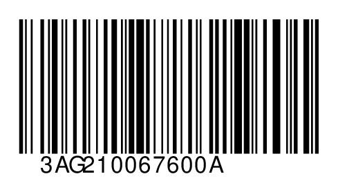 3AG210067600A