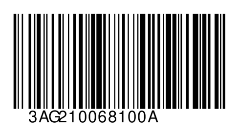 3AG210068100A