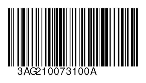 3AG210073100A