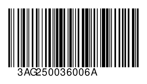 3AG250036006A