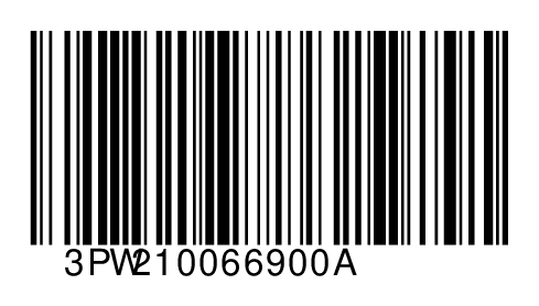 3PW210066900A