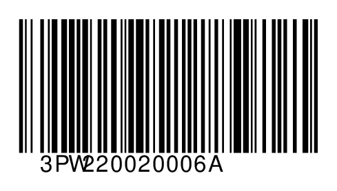 3PW220020006A