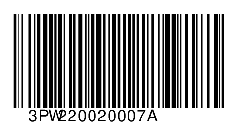 3PW220020007A