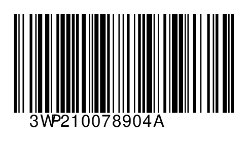 3WP210078904A