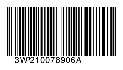 3WP210078906A
