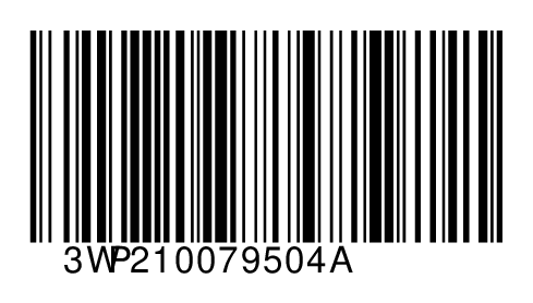 3WP210079504A