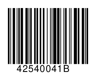 42540041B