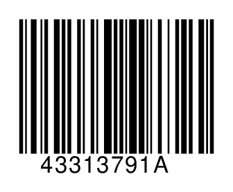 43313791A