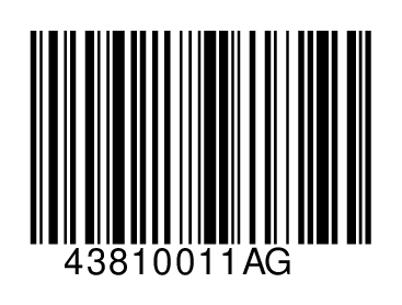 43810011AG