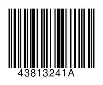 43813241A