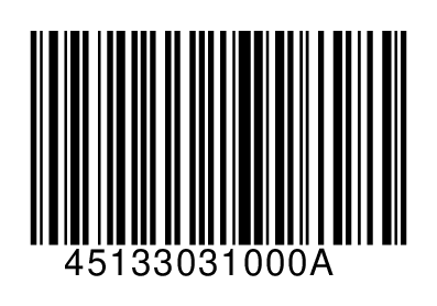 45133031000A