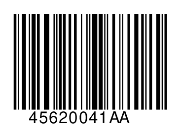 45620041AA