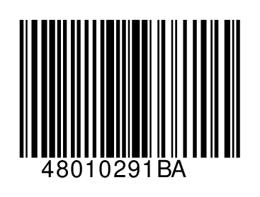 48010291BA