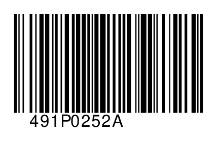 491P0252A