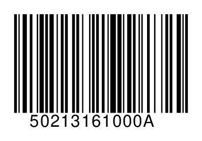 50213161000A