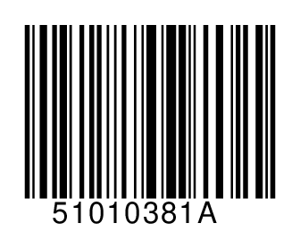 51010381A