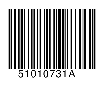 51010731A