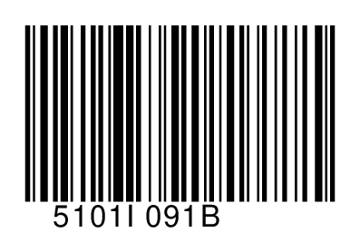 5101I091B