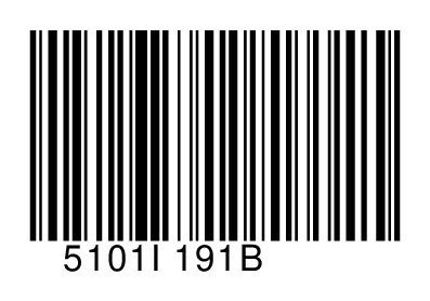 5101I191B