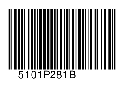 5101P281B