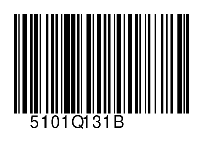 5101Q131B