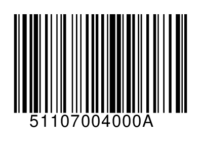 51107004000A