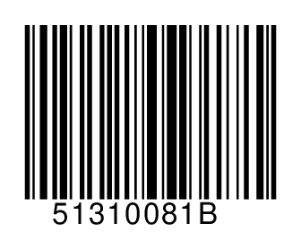 51310081B