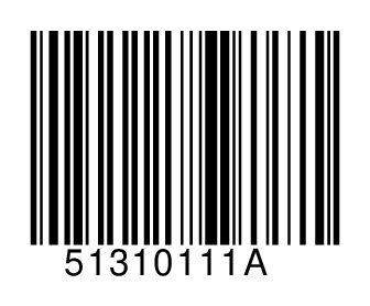 51310111A