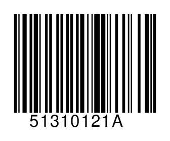 51310121A