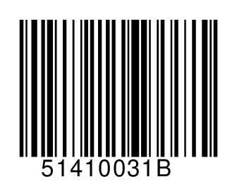 51410031B