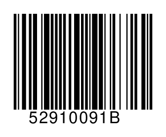 52910091B