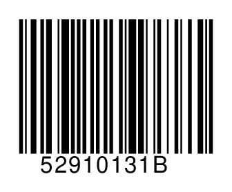 52910131B