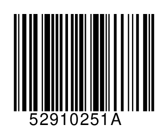 52910251A