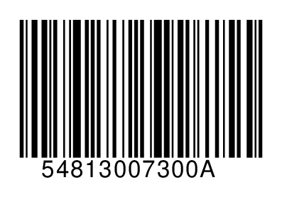 54813007300A