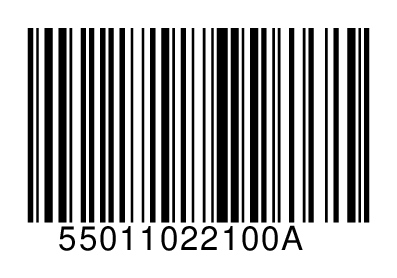 55011022100A