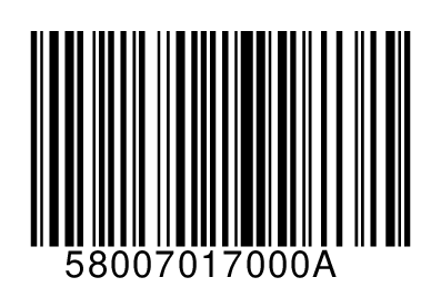 58007017000A