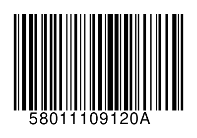 58011109120A