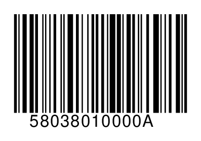 58038010000A