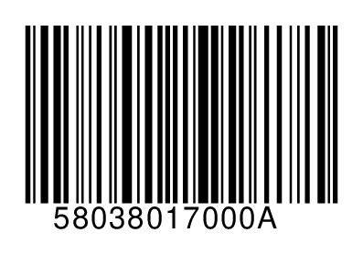 58038017000A