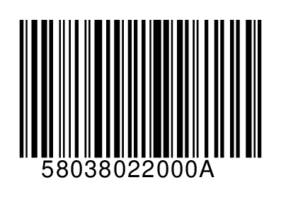 58038022000A